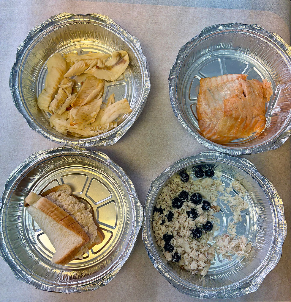 Four aluminum trays with different fish preparations, including walleye, salmon, tuna sandwich, and white fish with blueberries.