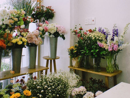 🌸 Quelle est la différence entre un bouquet, une composition piquée et une plante ?