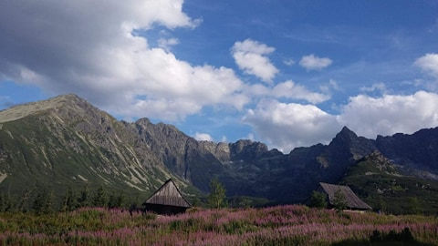 91515794_2530880320575142_68539920044733