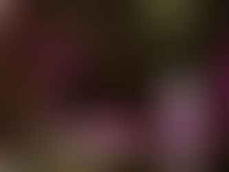 Olivia & Dylan's Engagement at Watkins Glen State Park