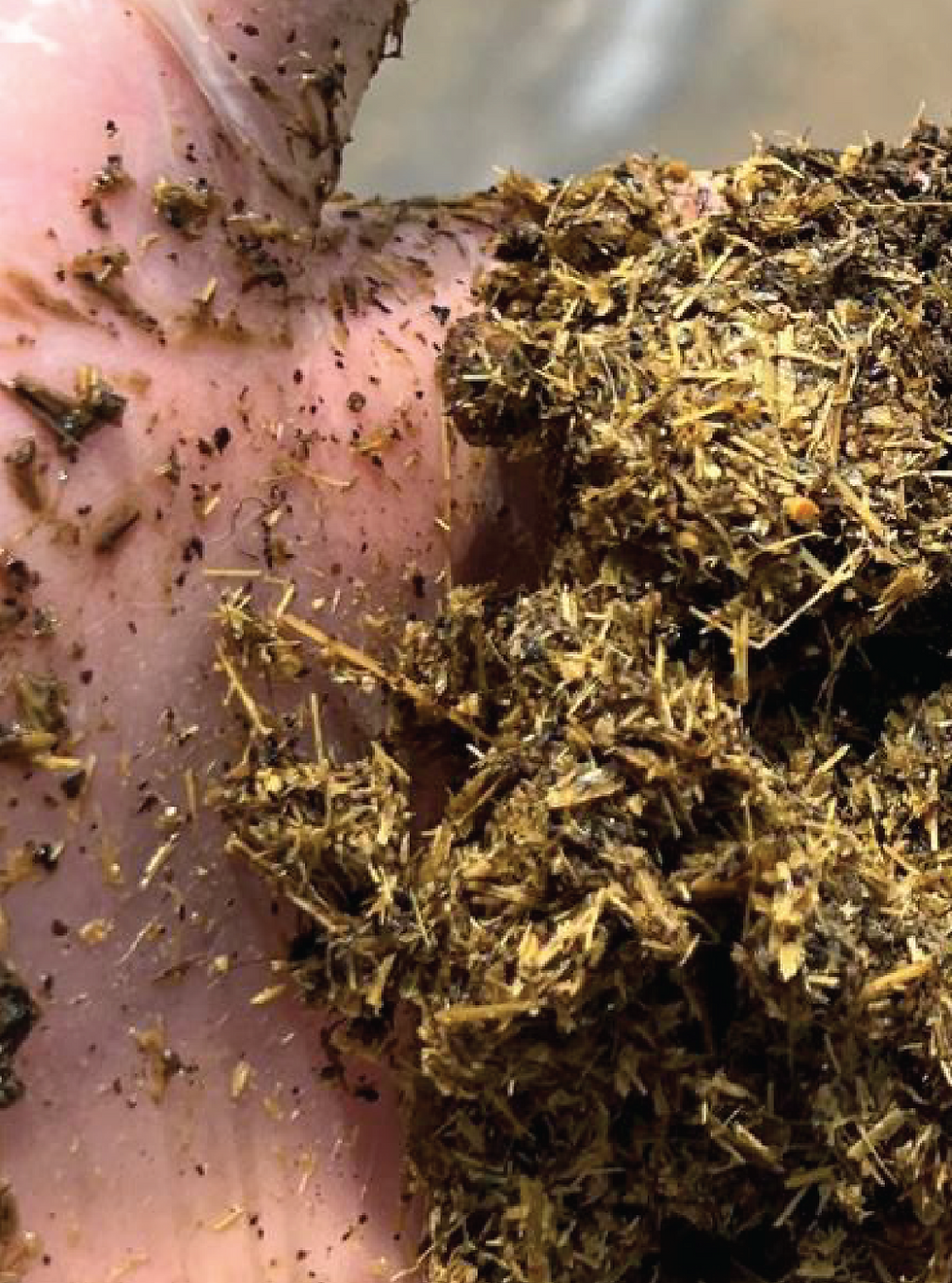 seperated manure solids-a-14.png