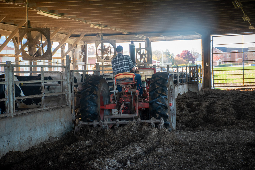 composted bedded pack