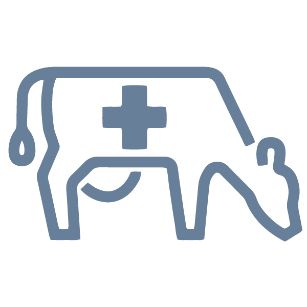 On-Site Enteric Icon