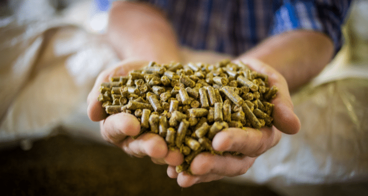 Non-Nutritive Feed Additives: Ionophores