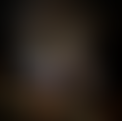 Inside the Dark Cave, Phone Nha
