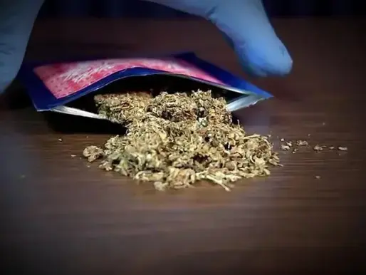K2, K9, "Spice": O que a ciência já sabe sobre os canabinoides sintéticos?