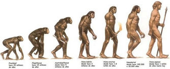 Historia evolutiva del Hombre