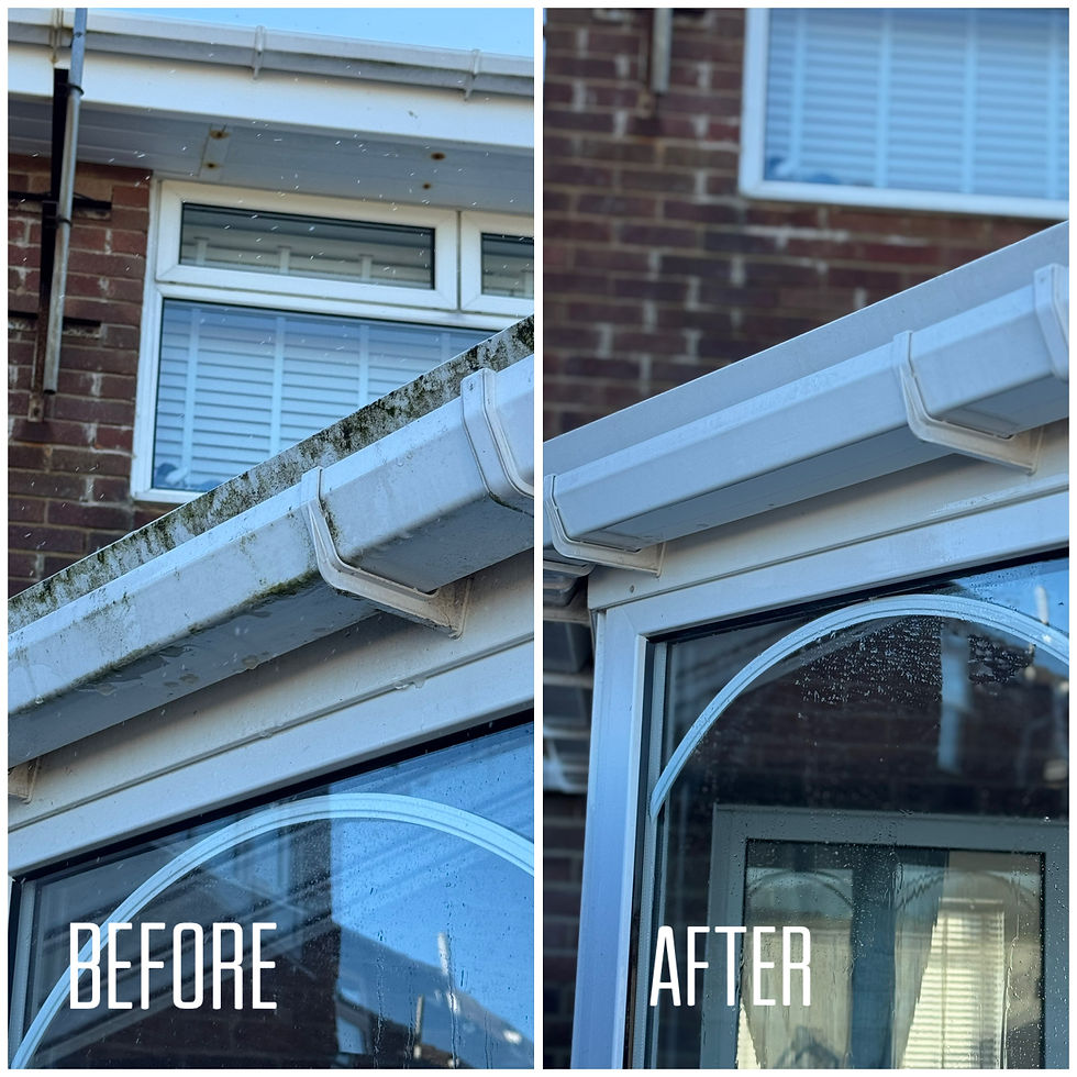 Gutter Clean