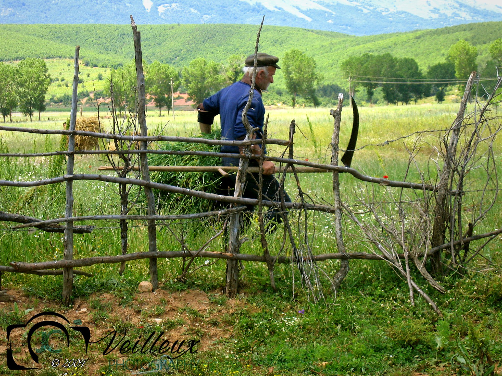 Albanian Farmer No. 1
