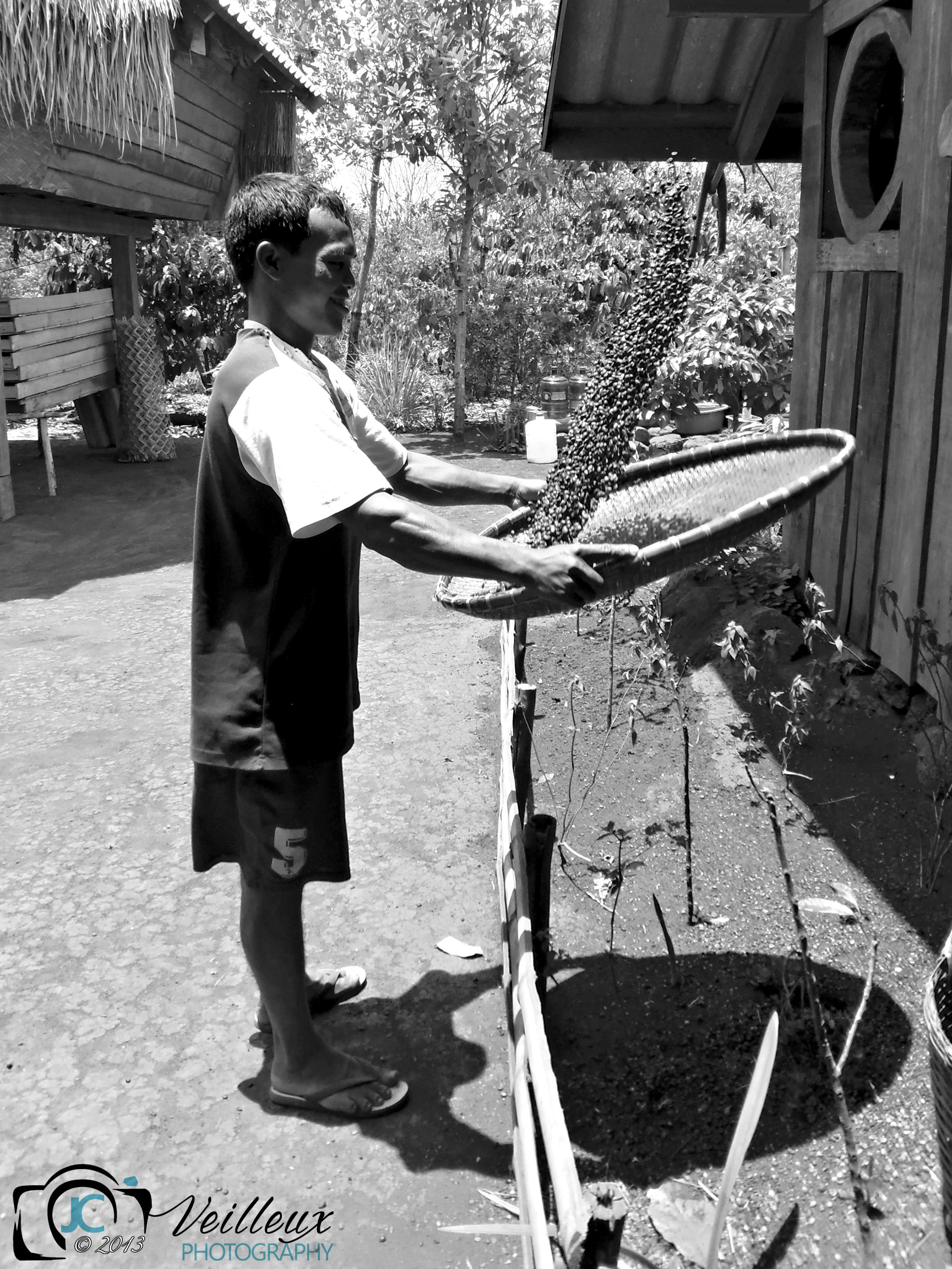 Coffee Sifting