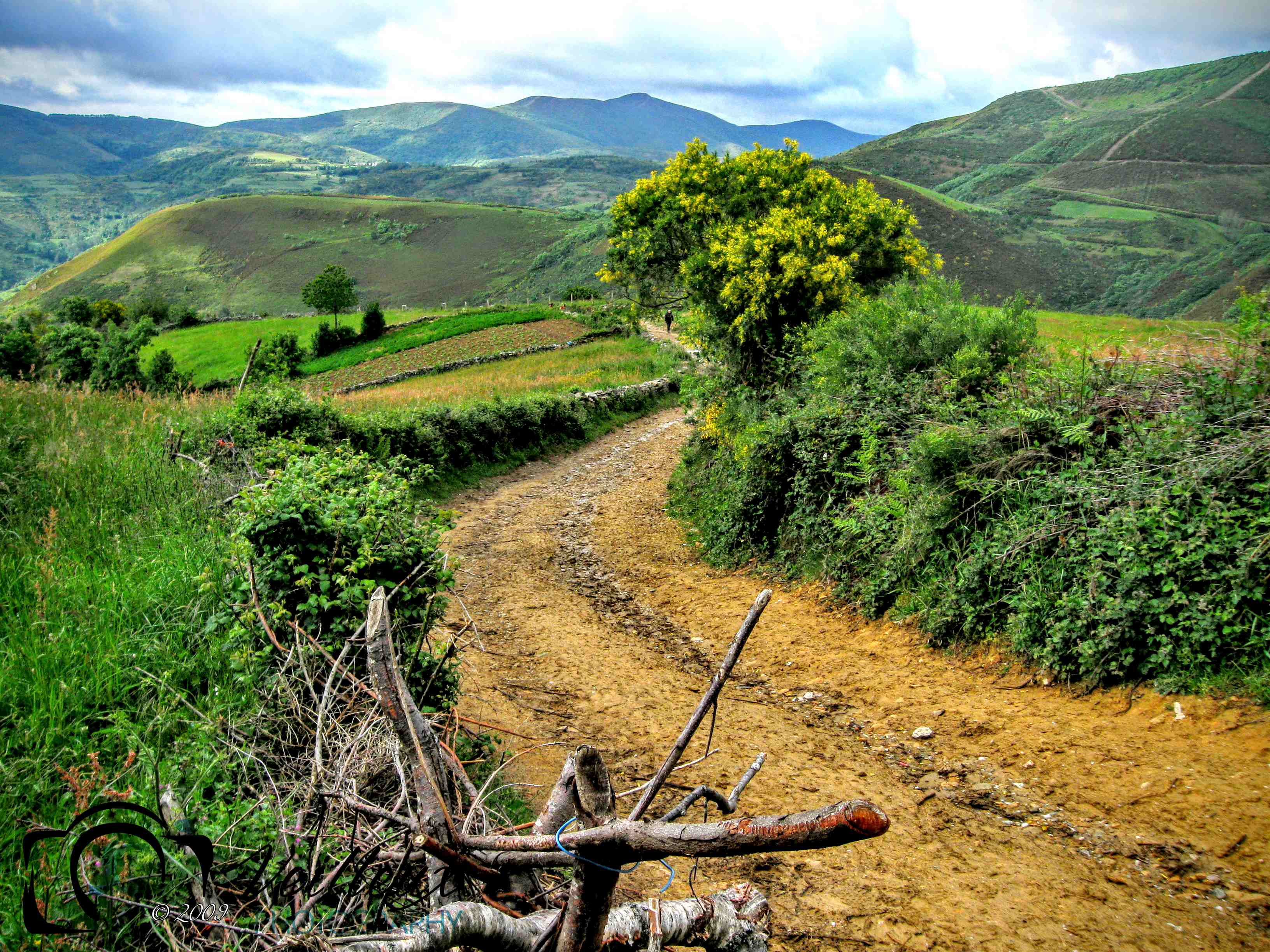 El Camino de Santiago