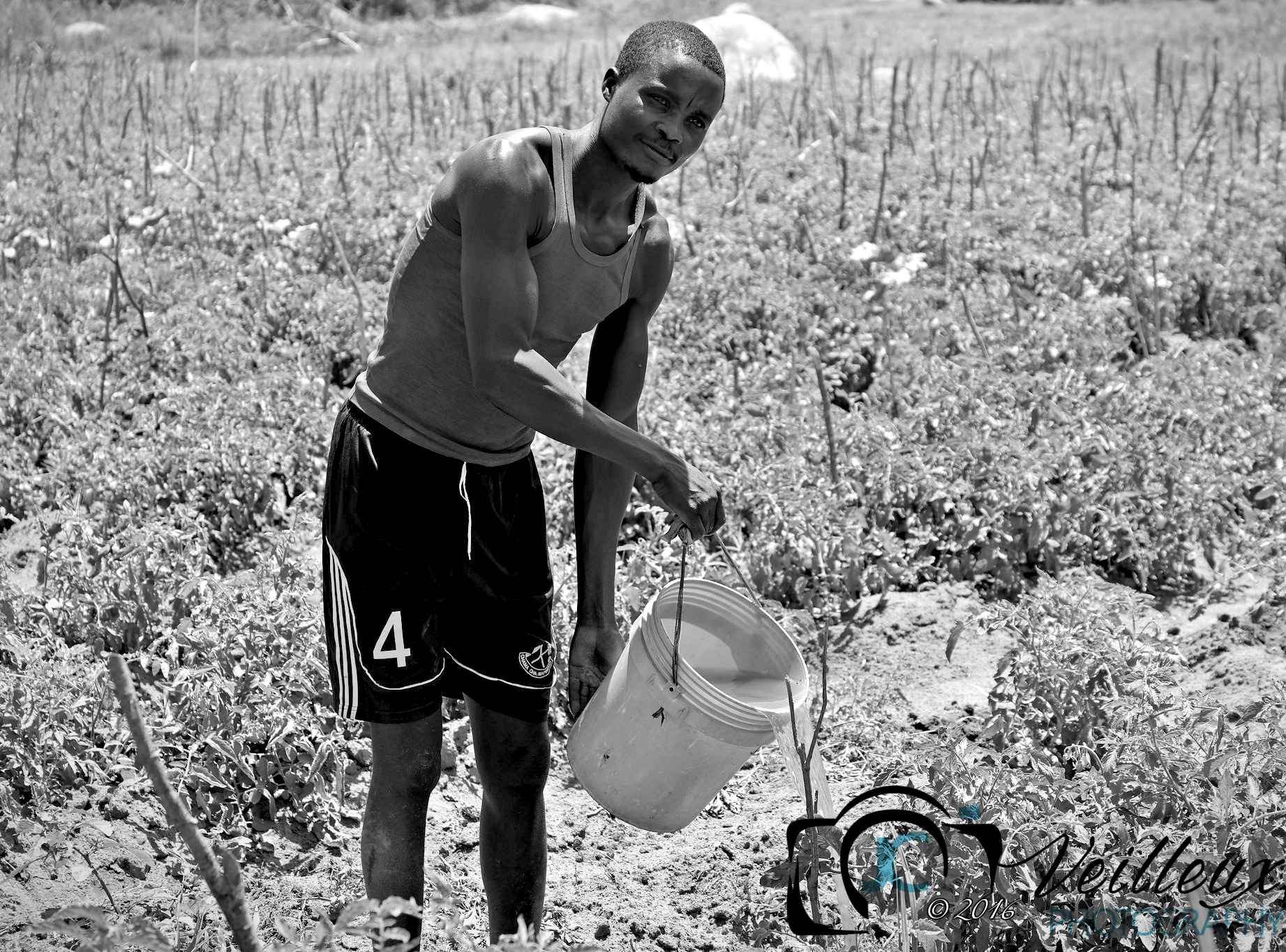 Lake Victoria Farmer No. 1