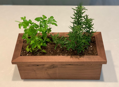 Walnut Planter