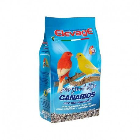 Professional elevage canarios