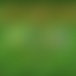 LA LIGA SMARTBANK NO PARA