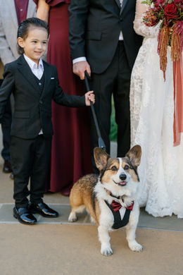 Meritage wedding with dog, napa