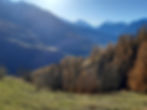 20201107_104926 Kopie.jpg