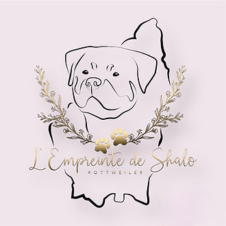 élevage rottweiler Rhône Alpes