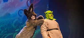 Shrek Night 2 cu-158_edited.jpg