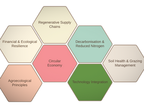 The Future of Regenerative Dairy in the UK: A Holistic and Human-Centred Approach