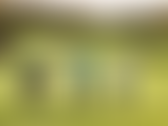 Mastering Effective Course Management