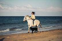 Shoot CavalCoaching - Jour 3--43.jpg