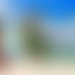 5 Apps Every Foreigner Must Download Before Coming to Thailand 