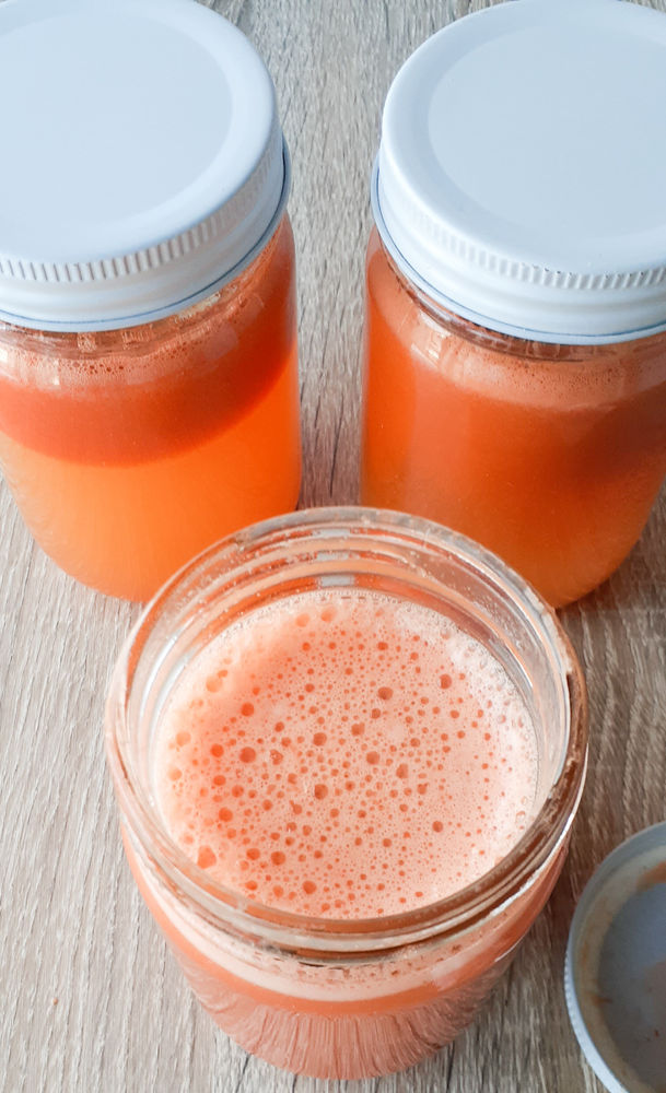 Carrot Cabbage H Pylori Buster