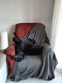 WhatsApp Image 2021-07-21 at 15.30.33 (3)