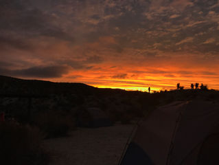 Day One: Joshua Tree National Park