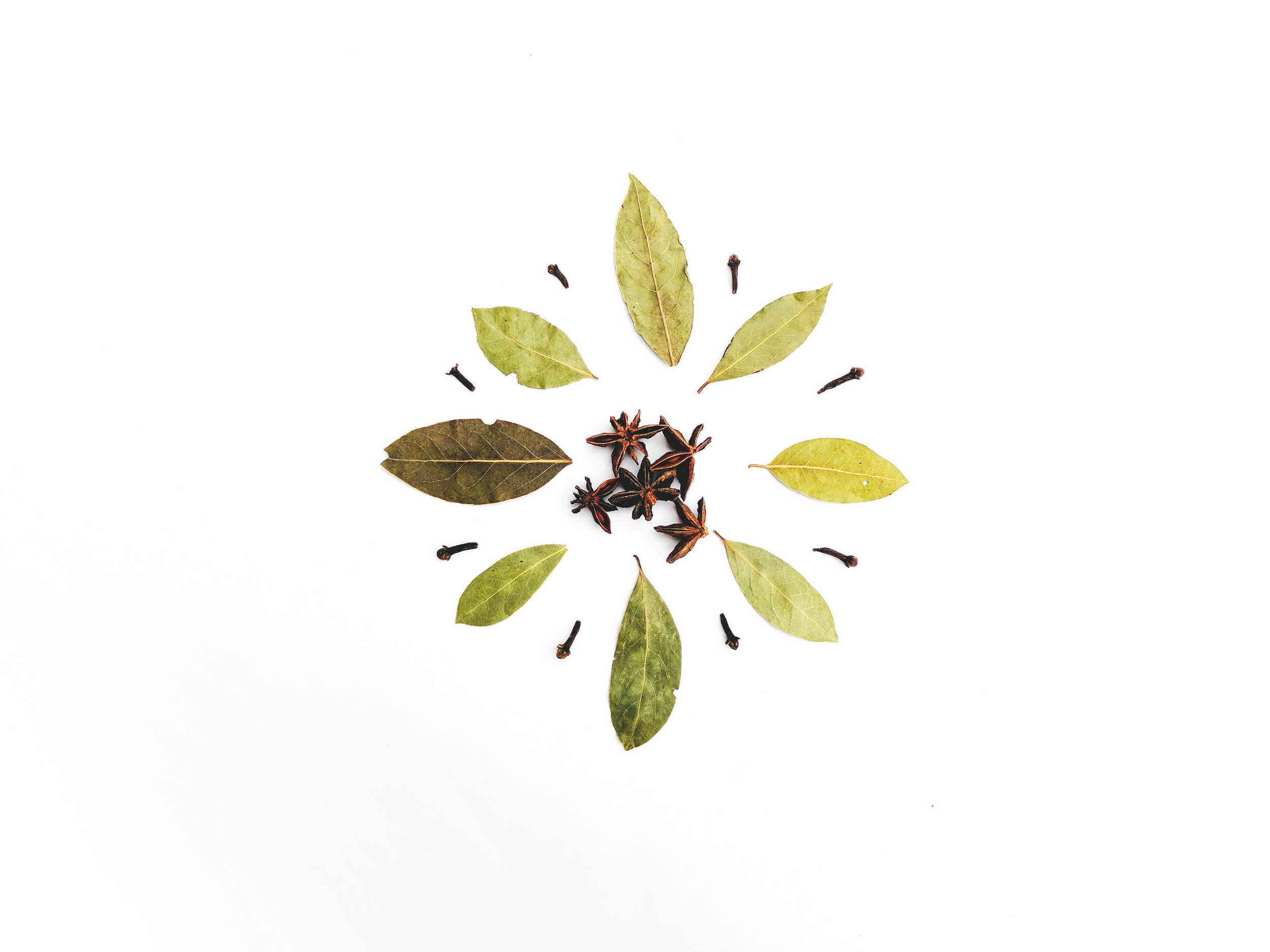 Ingredients | Herbal Cup Tea | Ayurveda Teas