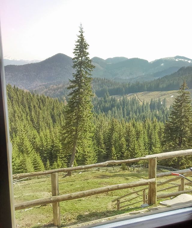 If you can get up every morning with a view like this - Enjoying the Spring Sun - window with a view