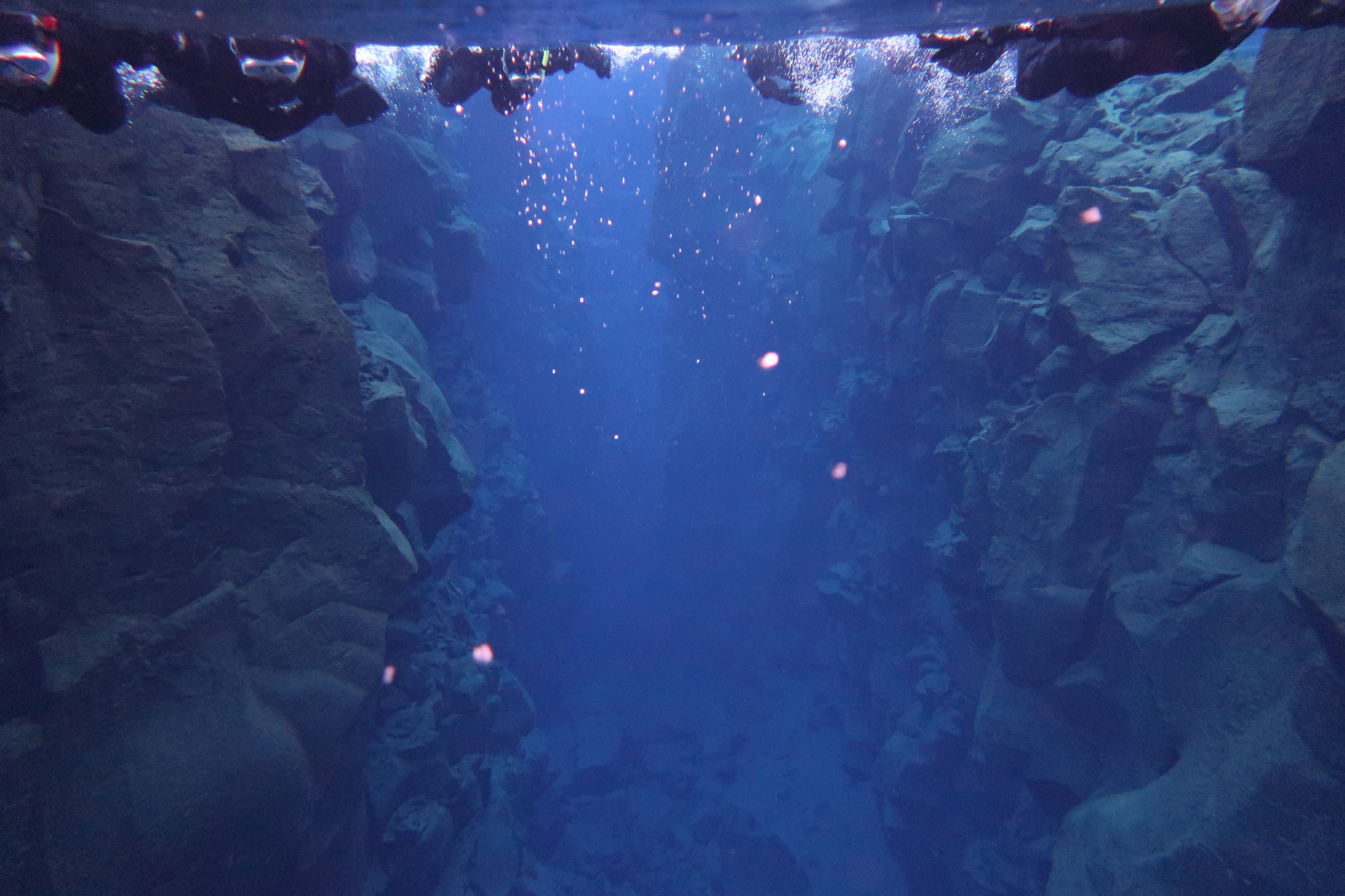 Silfra - Snorkeling - I