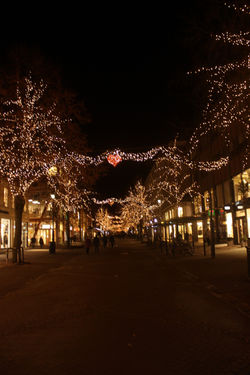 Night Walks Trondheim