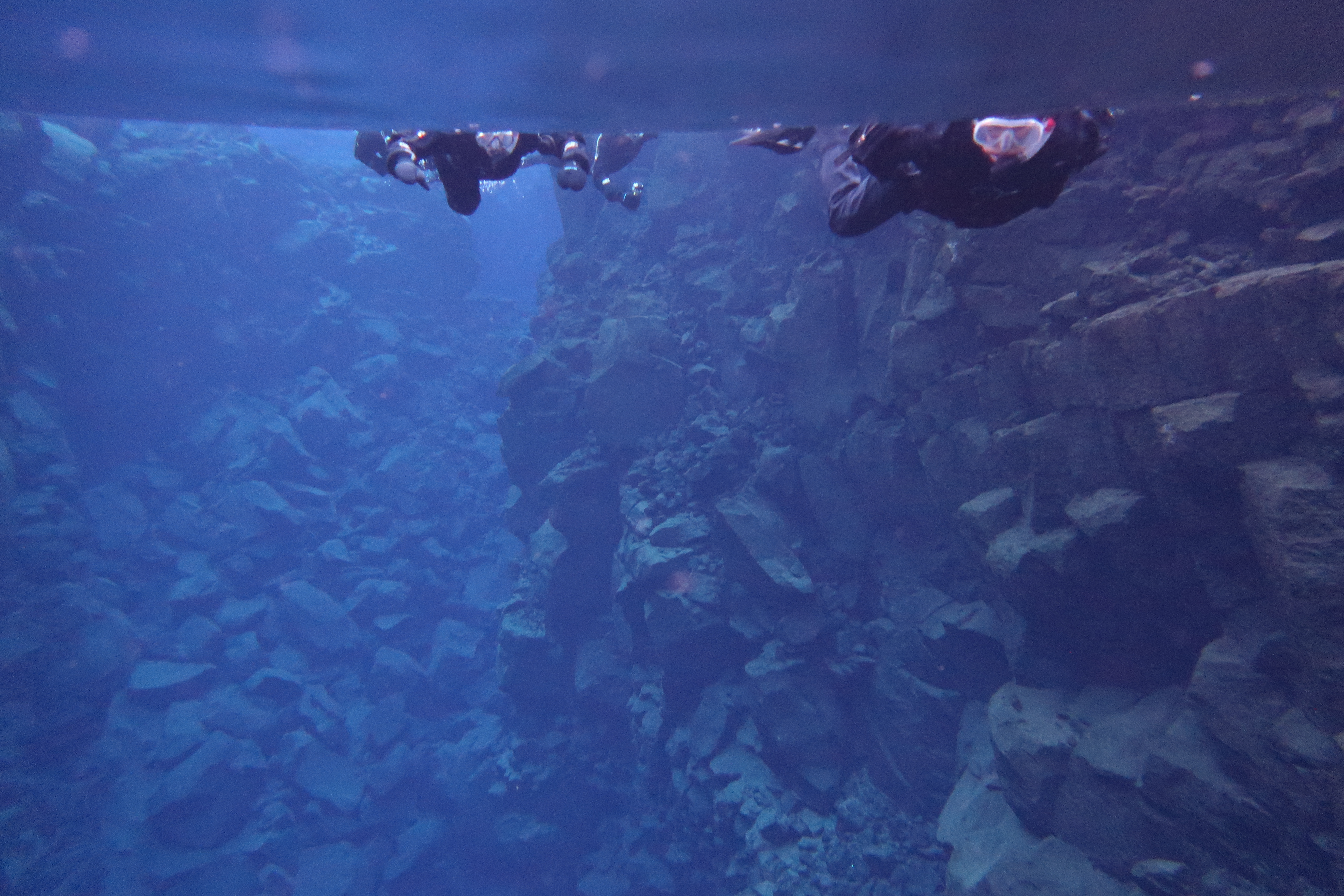 Silfra - Snorkeling - VIII