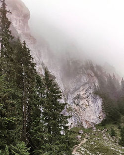 Nature walks__#BackpackEurope #BackpackRomania #exploretransylvania #Carpathians #Instacarpathian #B