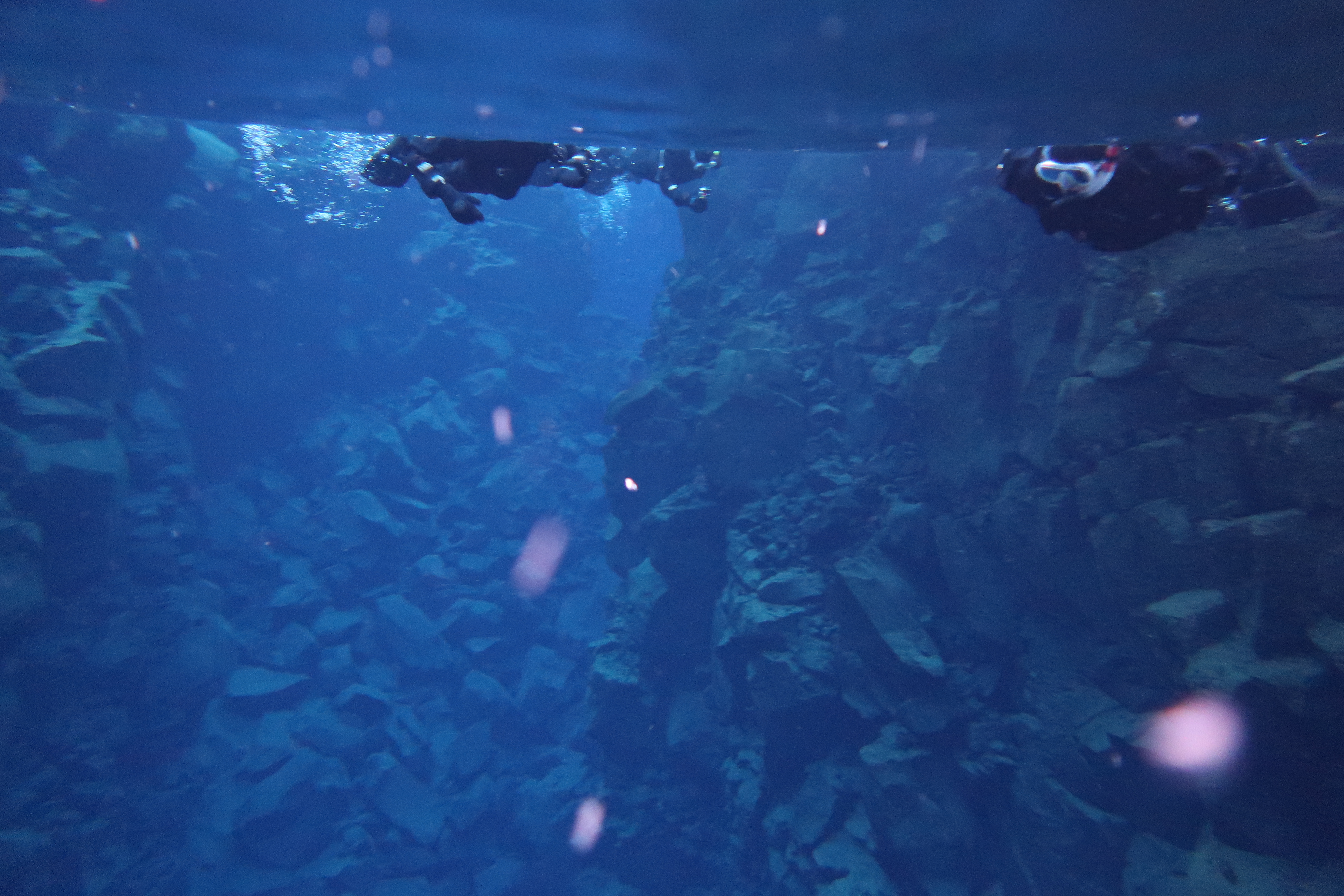 Silfra - Snorkeling - VII