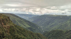 Morning from Megahalaya . Green is Gold_._._. ._