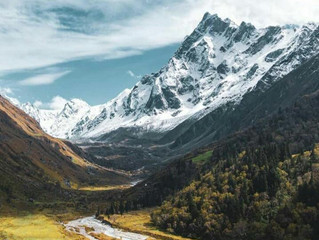 Will travel Industry return to normalancy ?