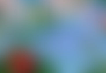 Album Review: Palace - 'Life After'