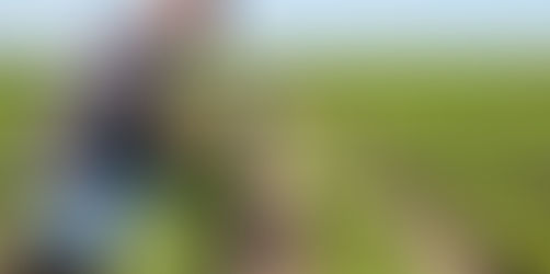 Plantas Forestales Recomendadas para Clima Tropical 