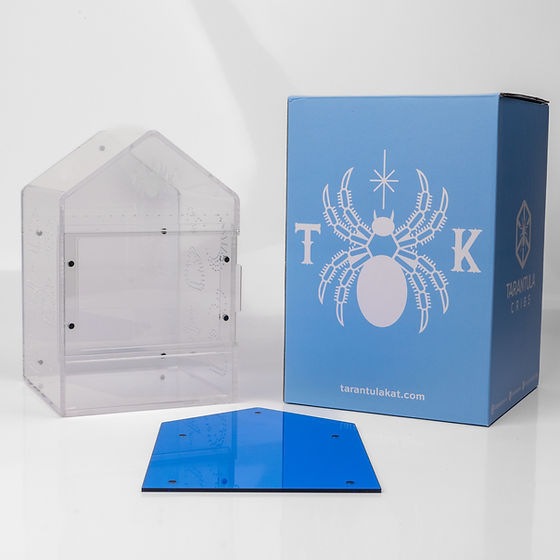 Thumbnail: Tarantula Kat Sweet Dreams Canopy 6"x6"x9"
