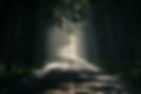walk-in-the-light.jpg