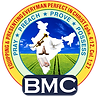 bmc final-01.png