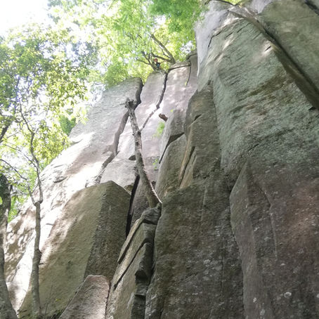 名張クライミング（2019/5/27）