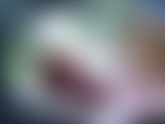 Burgers: not quite In-N-Out, but our family's substitute.