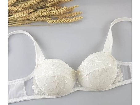 The boylston bra
