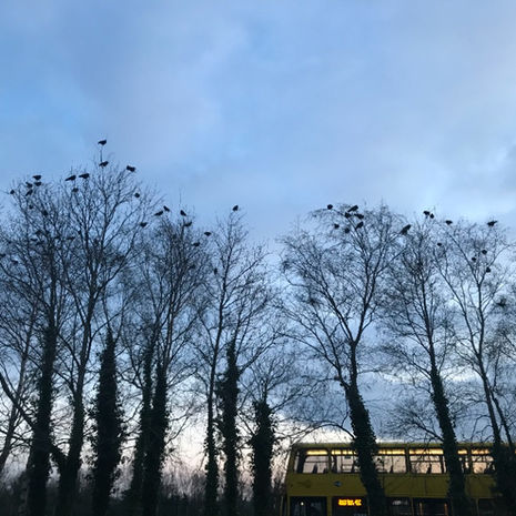 Glimpses of the ordinary
