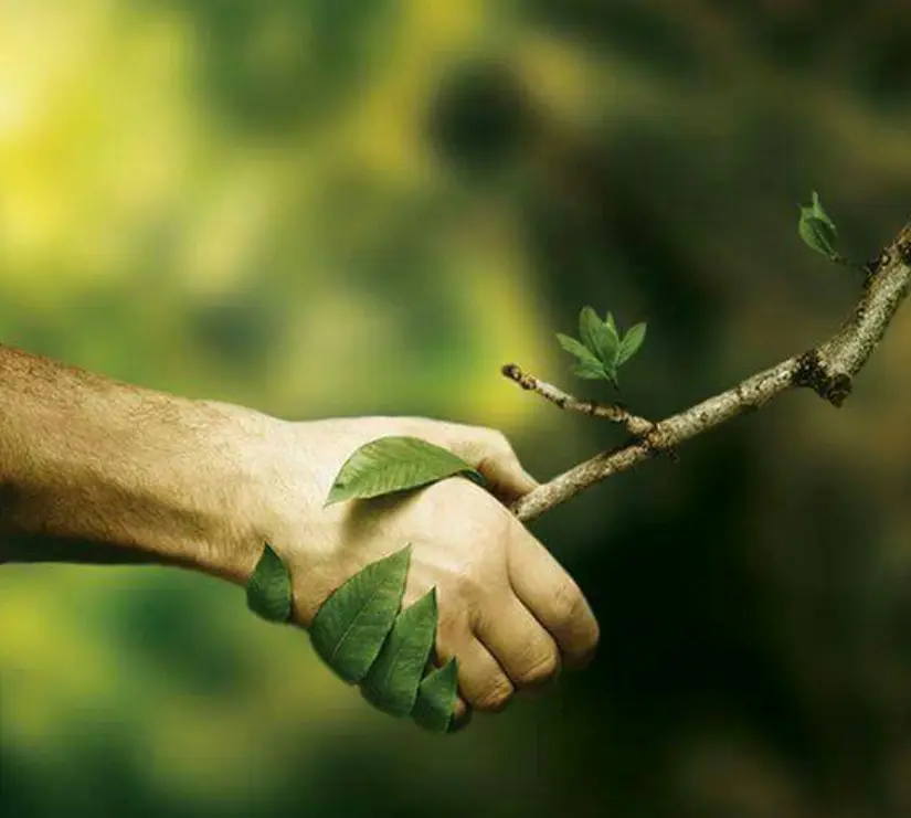 hand hold.webp