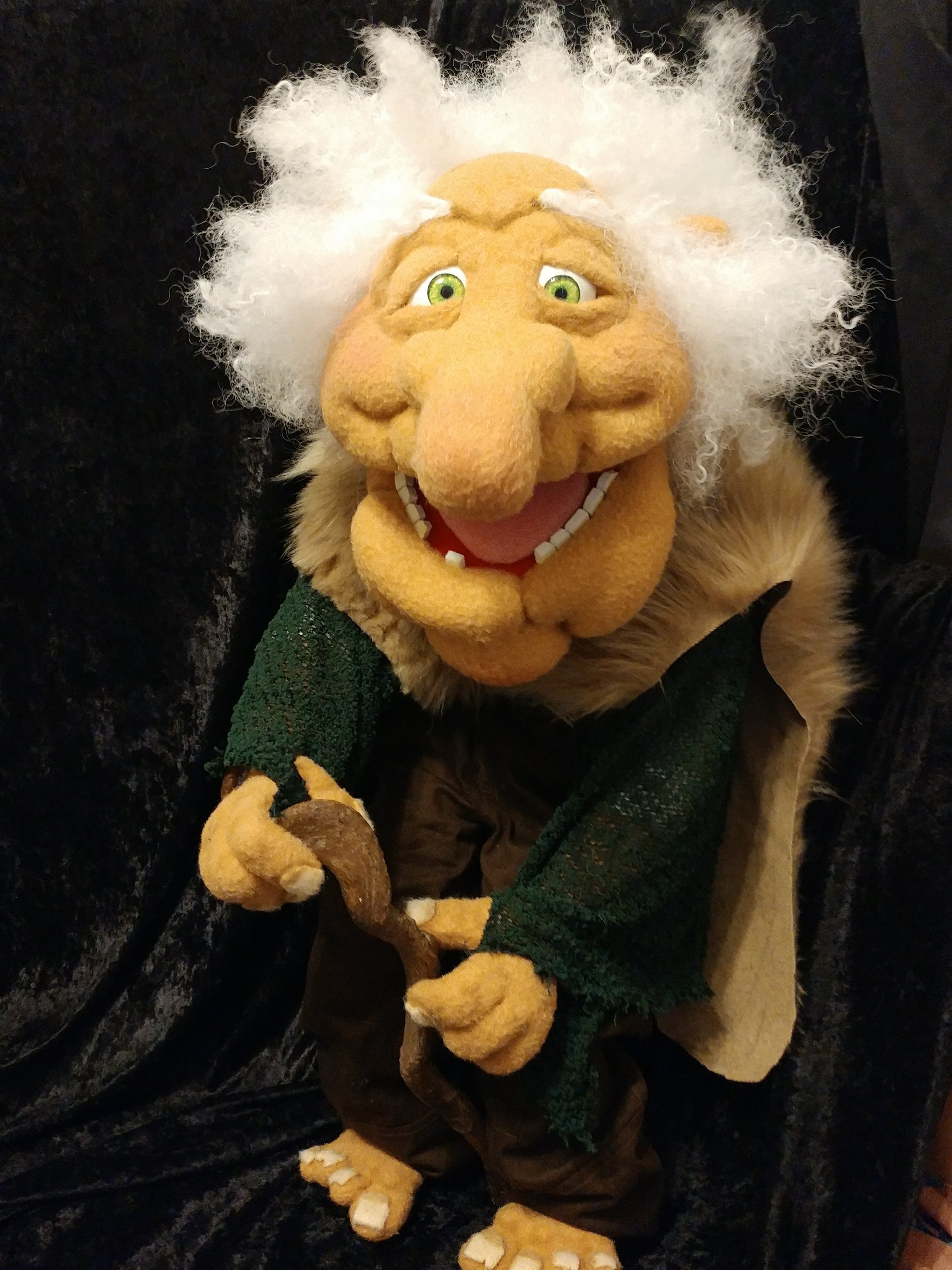 The Wise Sorcerer